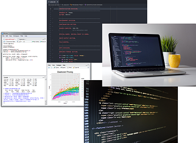 Screenshots showing cobol, javascript, html and R code